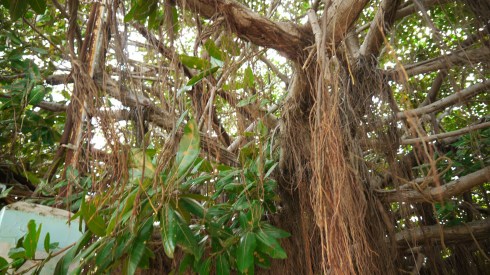 Horno de barro Costa Rica (3)